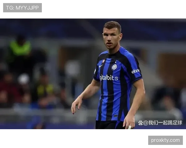 波黑2026世界杯预选赛突围前景分析 哲科领衔能否创造历史 波黑2026世界杯预选赛突围前景分析 哲科领衔能否创造历史